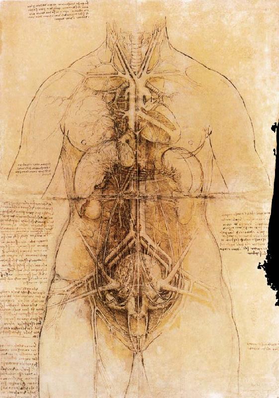 LEONARDO da Vinci The organs of the woman oil painting picture